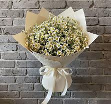 Букет цветов из:  Ромашки в Алхастах