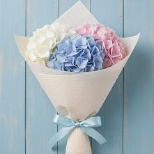 Букет цветов из:  Гортензия в Алхастах