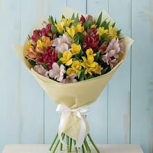 Букет цветов из:  Альстромерии #REPLACE_PRED# Алхастах