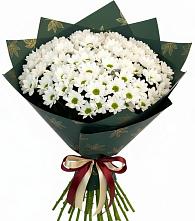 Букет цветов из:  Хризантемы #REPLACE_PRED# Алхастах