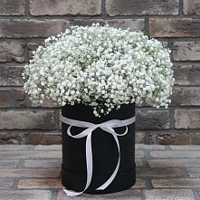 Цветочная композиция из Гипсофила в шляпной коробке в Алхастах