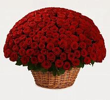 Премиум букет из: Розы #REPLACE_PRED# Алхастах